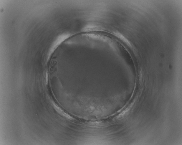 X0000069361413200605192047