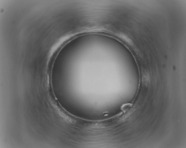 X0000069361414200605192047