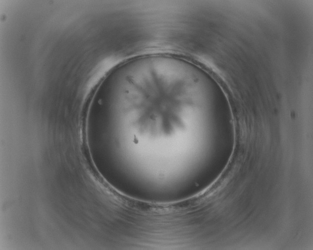 X0000069361415200605192047