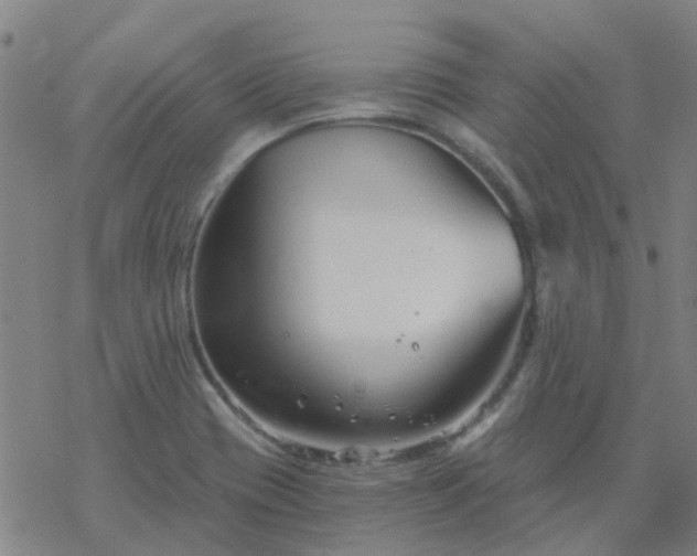 X0000069361417200605192047