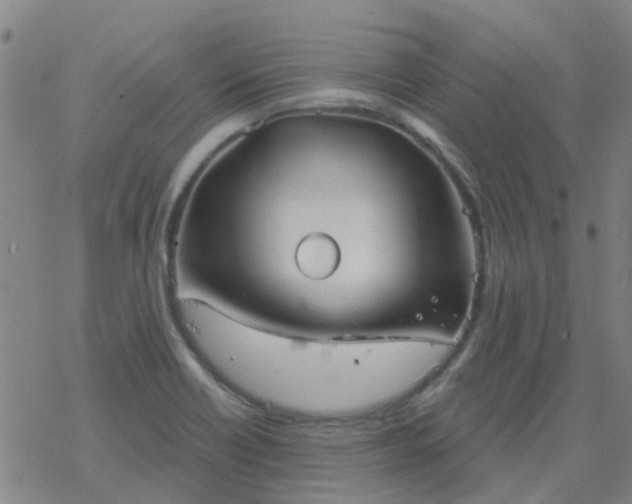 X0000069361418200605192047