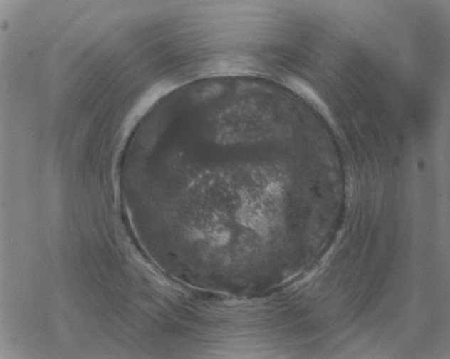 X0000069361419200605192047