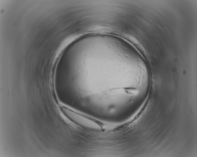 X0000069361421200605192047