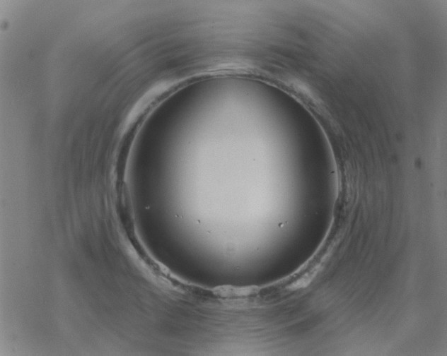 X0000069361422200605192047