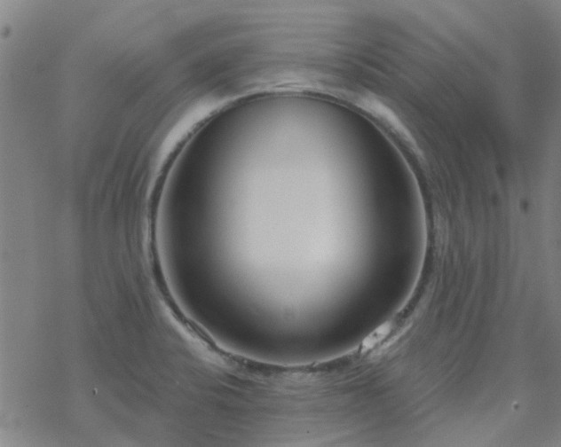 X0000069361424200605192047