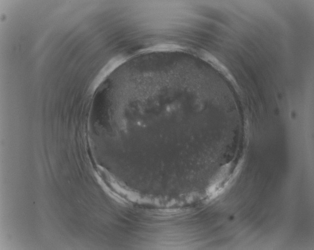 X0000069361425200605192047