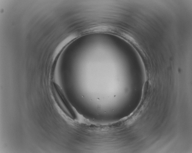 X0000069361426200605192047