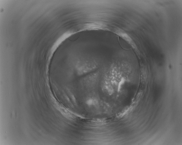 X0000069361427200605192047