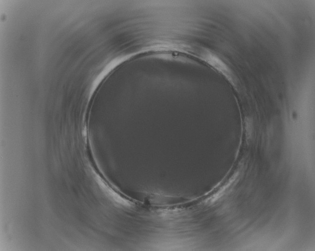 X0000069361428200605192047