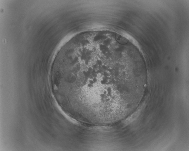 X0000069361429200605192047