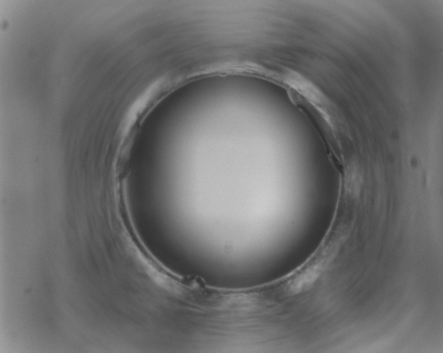 X0000069361430200605192047