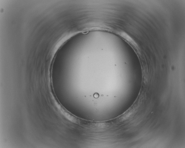 X0000069361431200605192047