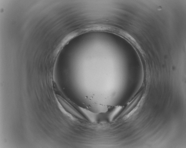 X0000069361433200605192047