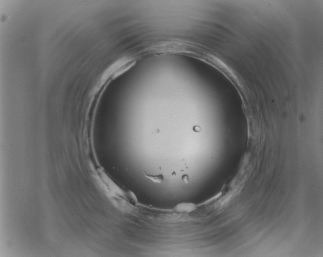 X0000069361434200605192047