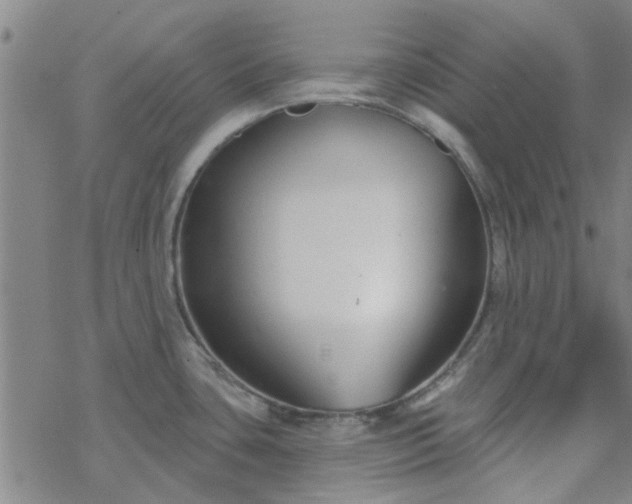 X0000069361435200605192047