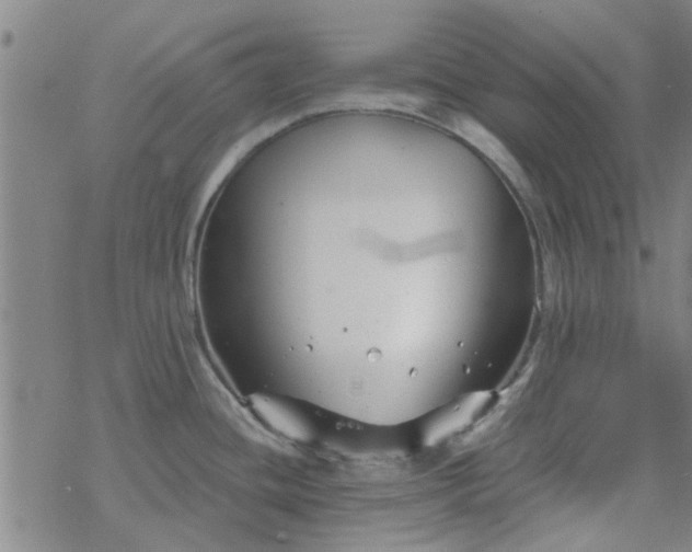 X0000069361436200605192047