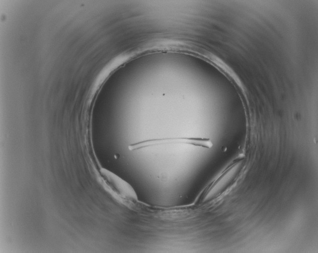 X0000069361437200605192047