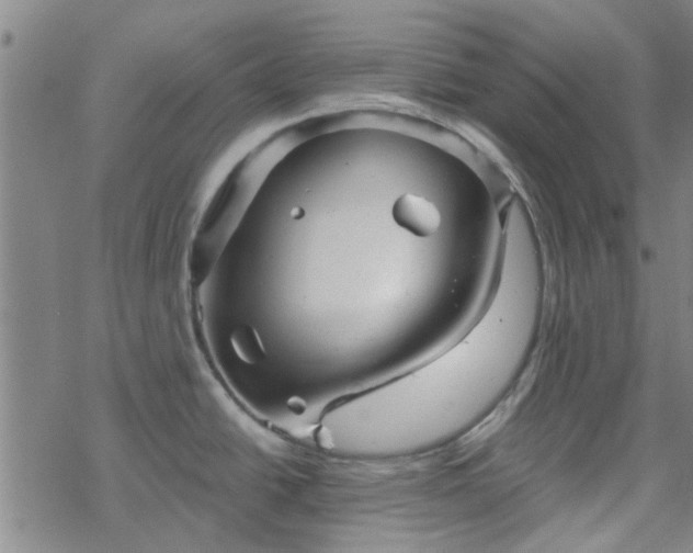 X0000069361438200605192047