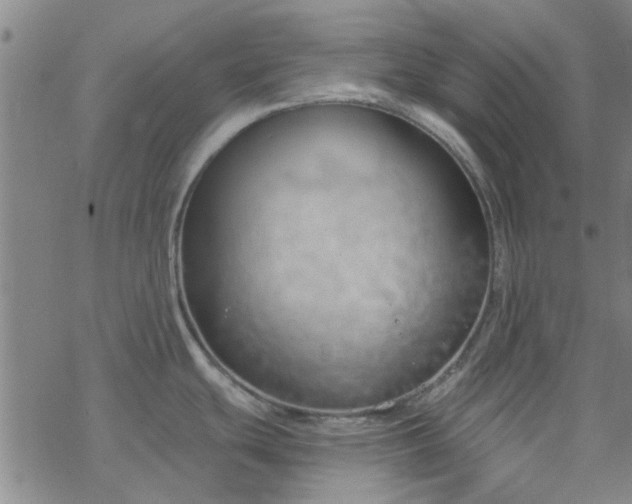 X0000069361439200605192047