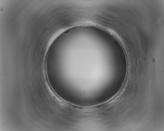 X0000069361440200605192047