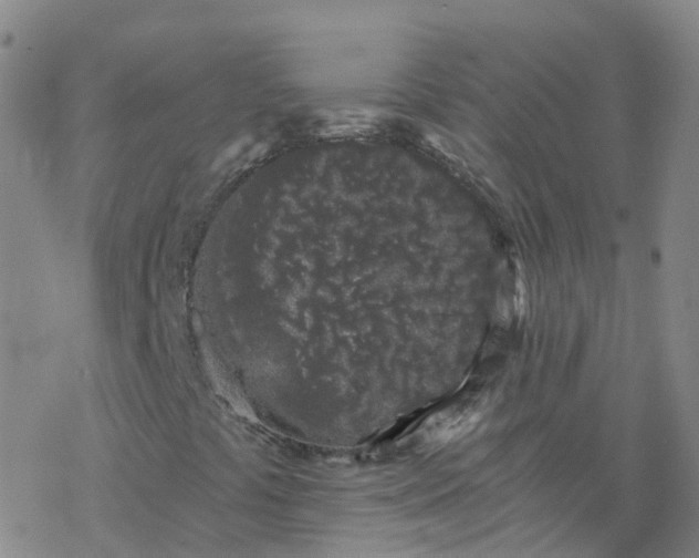 X0000069361441200605192046