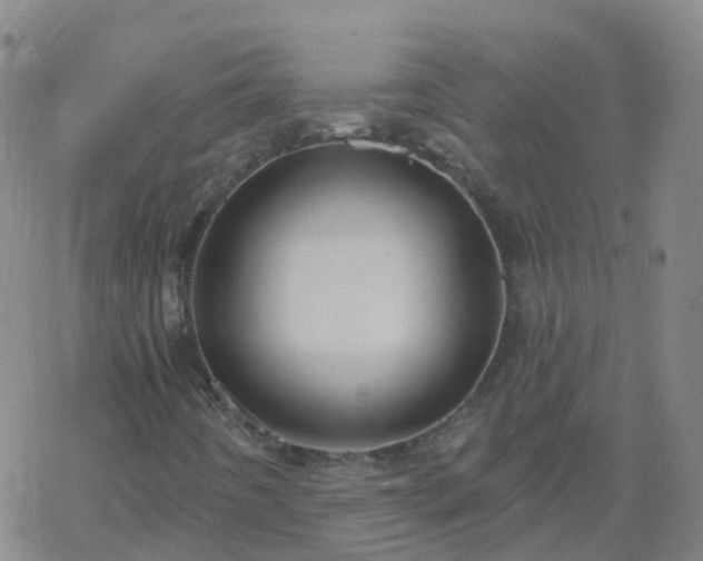 X0000069361442200605192046