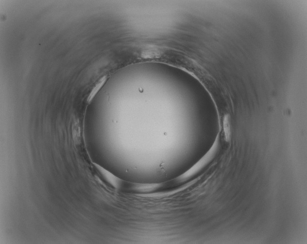 X0000069361443200605192046