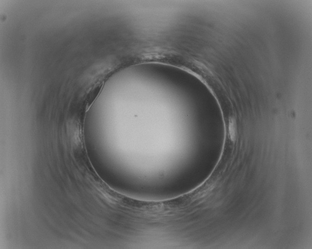 X0000069361444200605192046