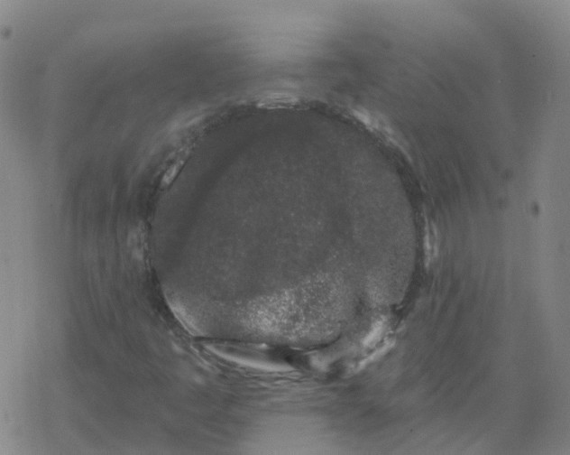 X0000069361445200605192046