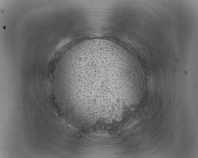 X0000069361446200605192046