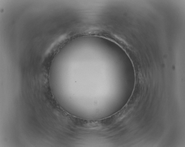 X0000069361447200605192046