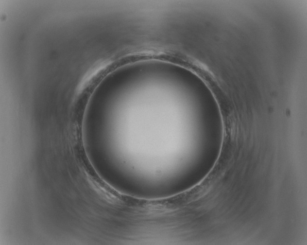 X0000069361448200605192046