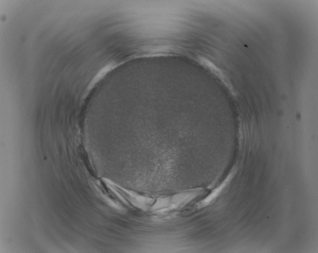 X0000069361449200605192046