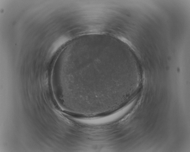 X0000069361450200605192046