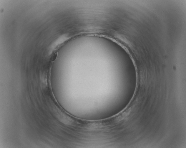 X0000069361451200605192046