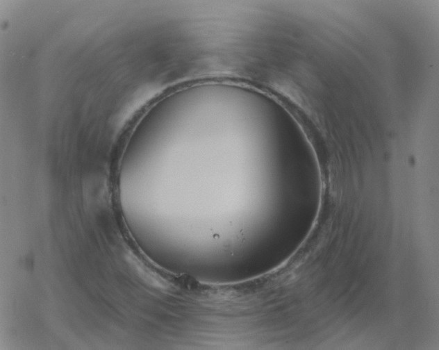 X0000069361452200605192046