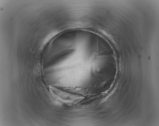 X0000069361453200605192046