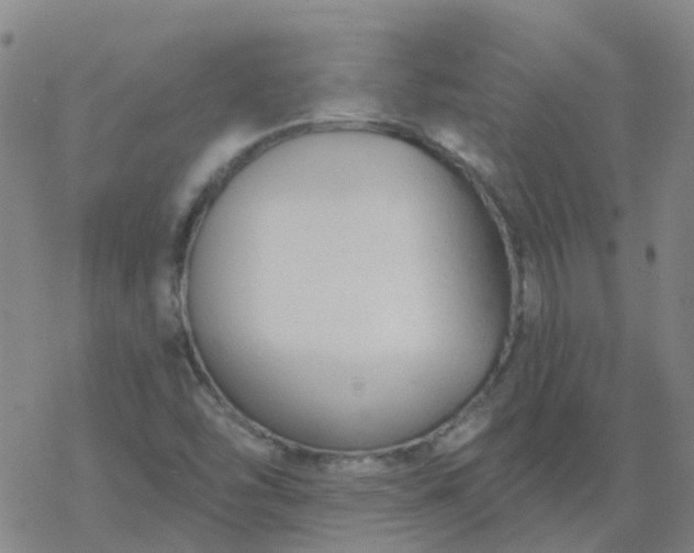 X0000069361454200605192046