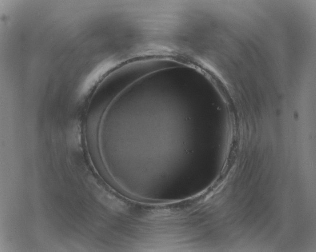 X0000069361455200605192046