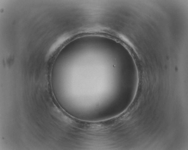 X0000069361456200605192046