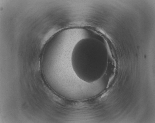 X0000069361459200605192046