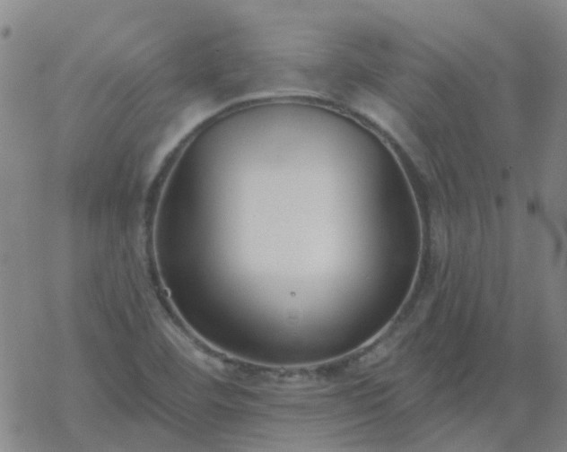 X0000069361460200605192046