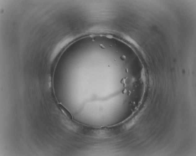 X0000069361461200605192046