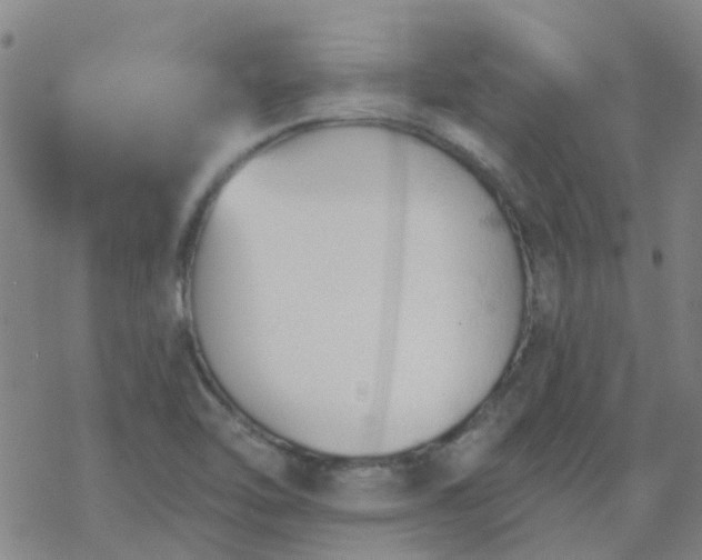 X0000069361462200605192046