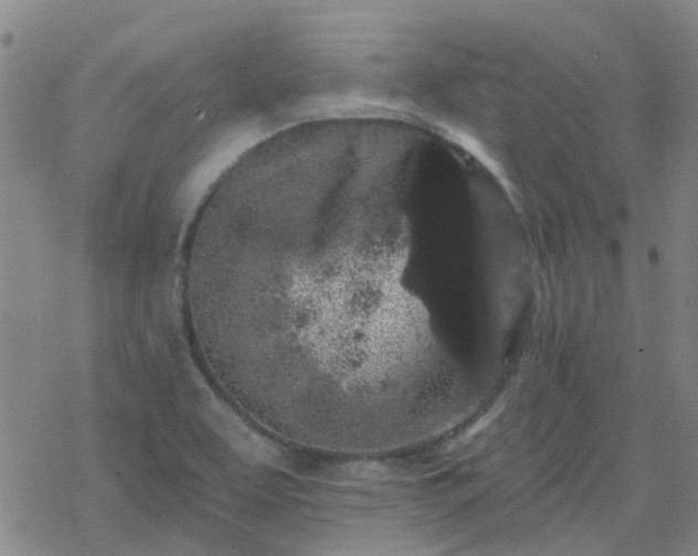 X0000069361463200605192046