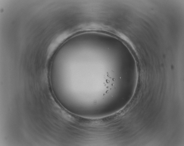 X0000069361464200605192046