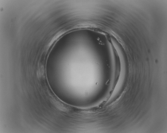 X0000069361465200605192046