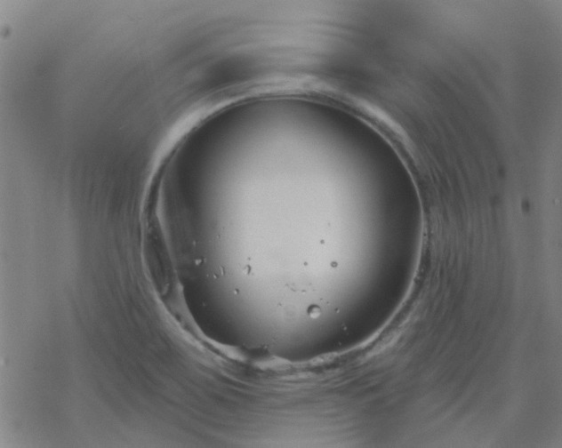 X0000069361467200605192046