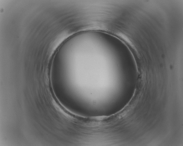 X0000069361468200605192046