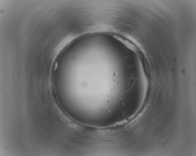 X0000069361469200605192046